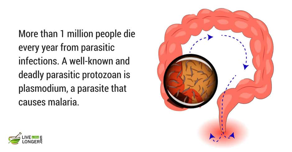 common intestine problems