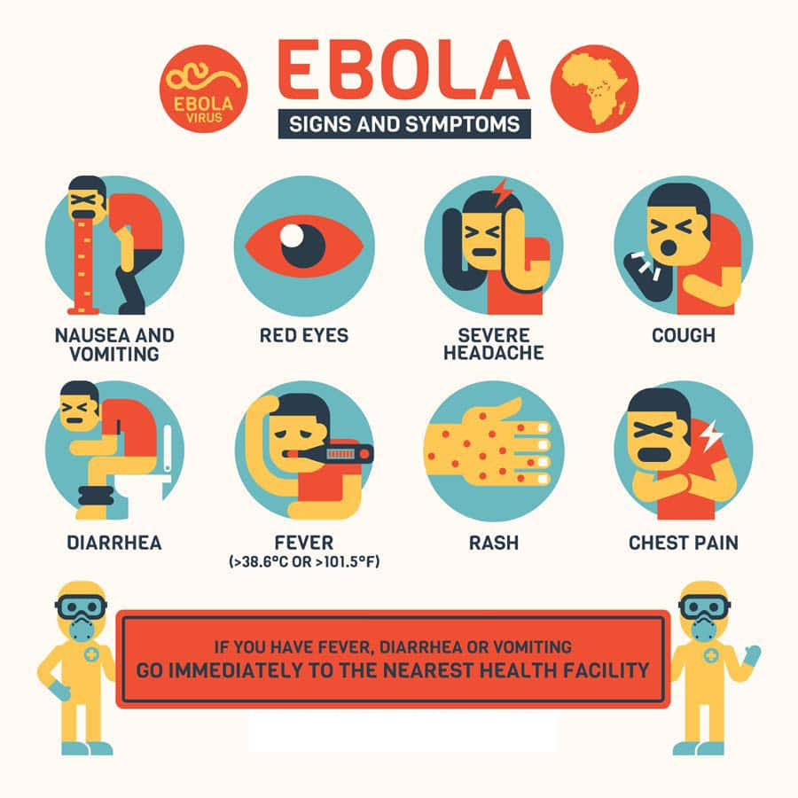 symptoms of ebola ebola symptoms