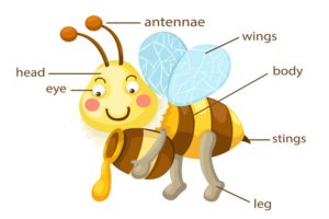 what is a bee sting