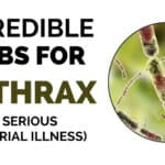 Home Remedies For Anthrax