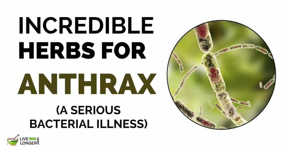 Home Remedies For Anthrax
