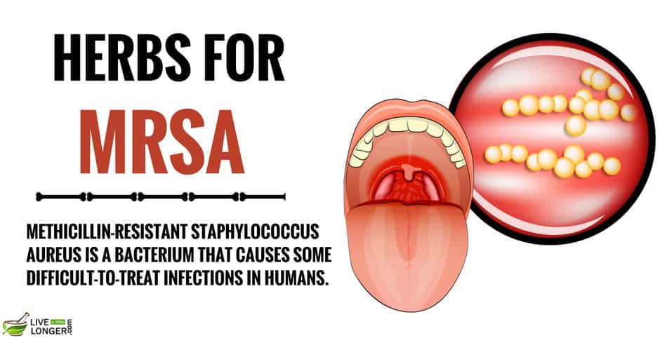 Home Remedies For MRSA