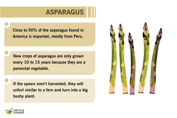 healthiest foods in the world best superfoods
