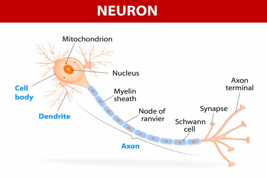 treating nerve pain naturally