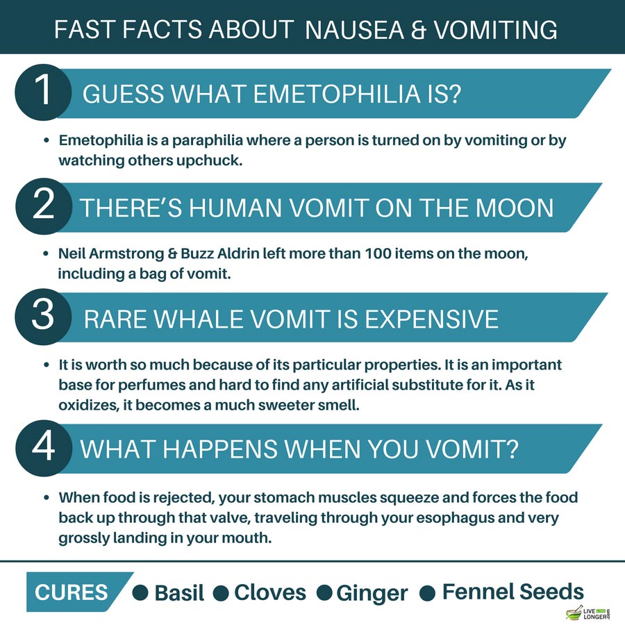 Home Remedies For Nausea And Vomiting