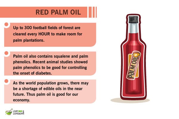 healthiest foods in the world healthiest food in the world