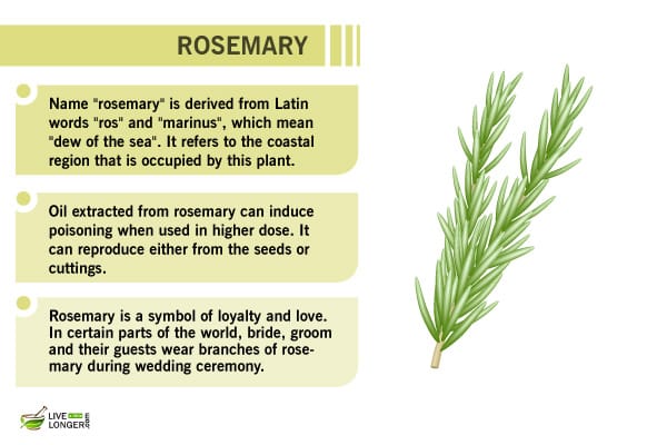 rosemary benefits best green superfoods