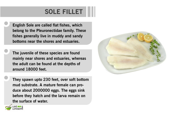healthy foods to eat health benefits of sole fish