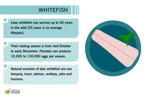 what is the healthiest meat to eat what is the healthiest meat to eat