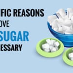 why sugar is a necessary evil