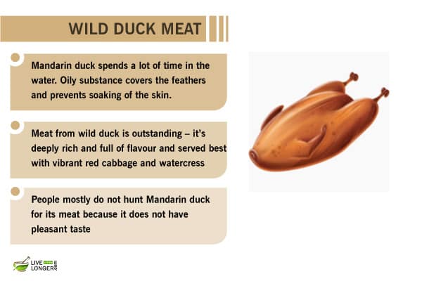 health benefits of duck healthy meats to eat
