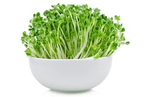 Alfalfa herb for anorexia