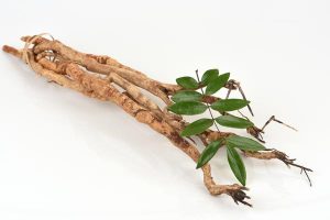 herbs for libido enhancement