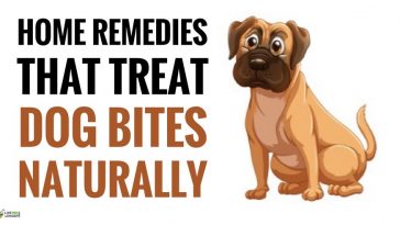 bites 186 shares 537 views diy home remedies 10 best home remedies 