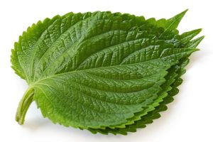 home remedies for longer hair growth