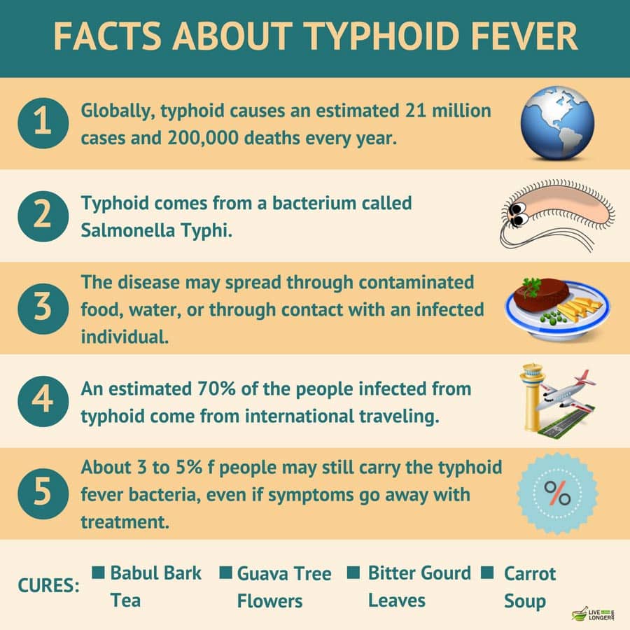 facts about typhoid fever