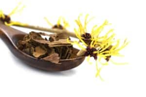 essential herbs for cold sores