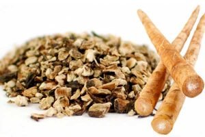 Burdock Root Tea 