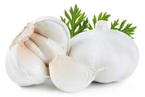 Garlic For Candida