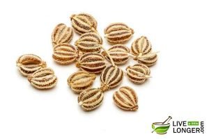Use Carom Seeds