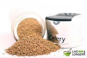 Health Benefits of Celery