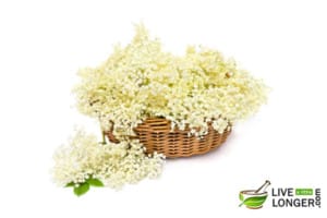 Elderberry cough