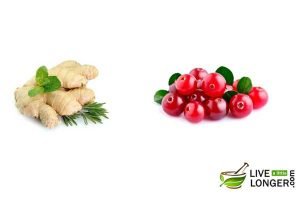 Remedies for Gastroparesis