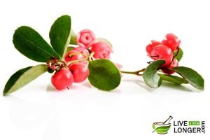 remedies for croup