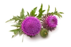 Home Remedies for Hepatitis C