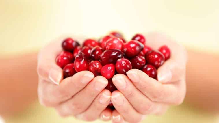 5 Reasons Cranberries Are a Super Food for Women's Health!