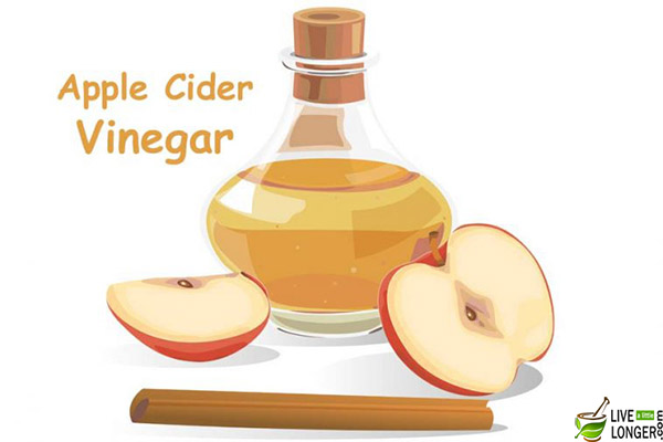 apple cider vinegar for flea treatment for dogs