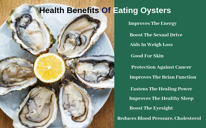 Nutritional Benefits Of Oysters Blog Dandk