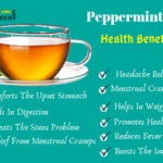 health benefits of peppermint tea