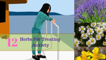 herbs for anxiety