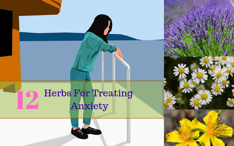herbs for anxiety