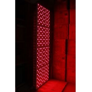 best red light therapy device