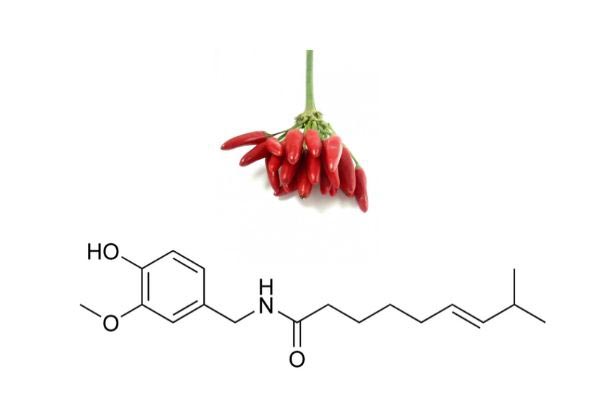 Capsaicin for joint pain